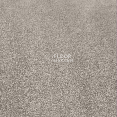 Ковролин Jacaranda Carpets Simla Cloudy Grey фото 1 | FLOORDEALER